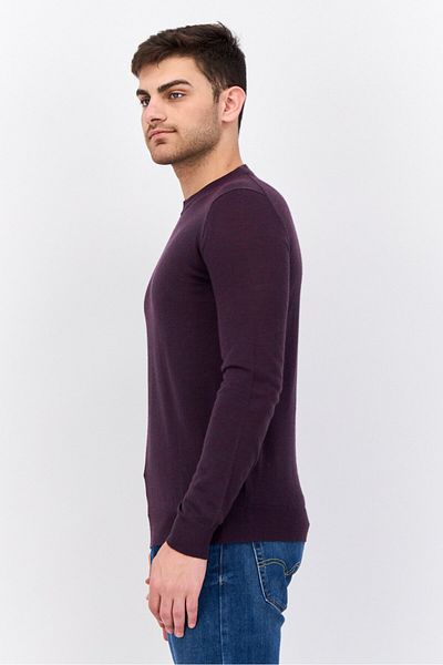 Sorbino Men Crew Neck Textured Long Sleeves Sweatshirt, Purple