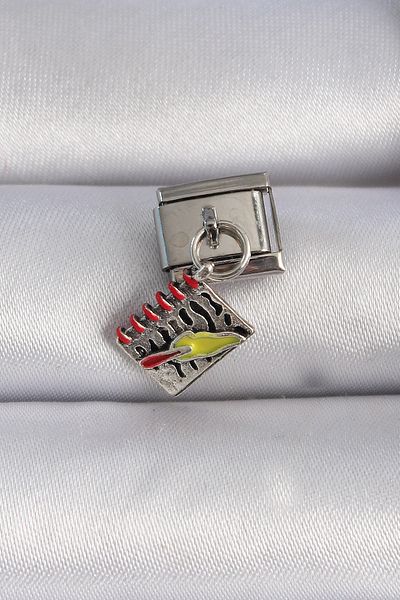 Skygo 316L Steel Silver Color Dangle Ledger Figure Nomination Charm - Tj-Bc1055