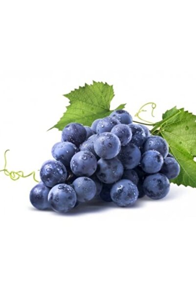 Dafa Demirhindi-Karadut-Kızılcık-Üzüm Şıra- 250 ml cam şişelerde. 4 al 3 öde