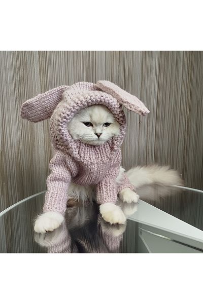Lady Fify Lilac Glittery Bunny Costume Jumpsuit for Cat Dog