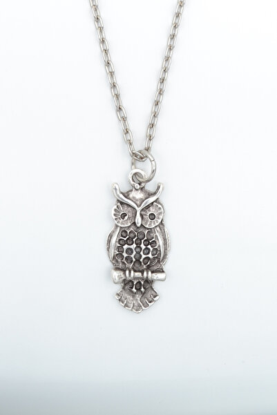 Bu Farklı Minimal Baykuş Gümüş Kaplama Düz Zincir Kolye