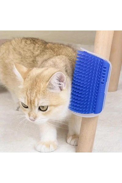 jetfast Cat Massage Brush - Mint Scratching Apparatus