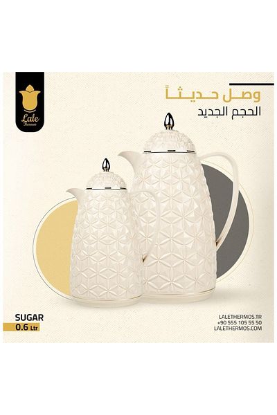 Rema Attractive Coffee and Tea Fridge Thermos Set with Elegant Design made in Turkey 1L + 0.5L