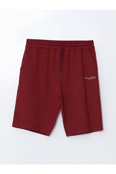 LC Waikiki Standard Fit Men's Shorts