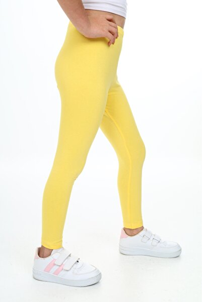 Toontoy Girl's Hedgehog Printed Tights