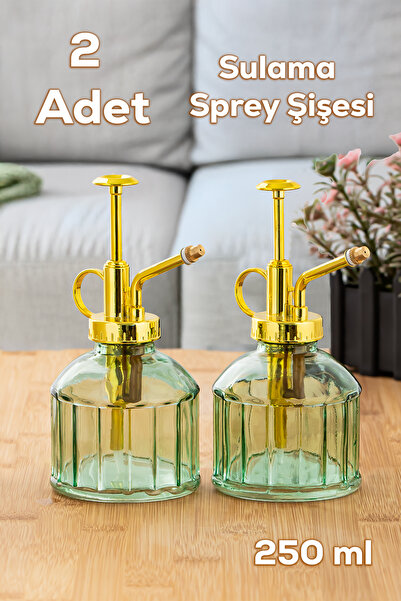 Perotti 15733 2li Yeşil Vintage Cam Bitki Sulama Şişesi Oda Kokusu Dağıtıcı C...