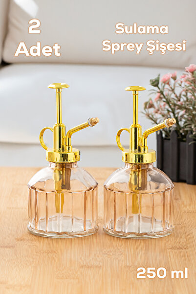 Perotti 2'li Pembe Vintage Cam Bitki Sulama Şişesi Oda Kokusu Dağıtıcı Cam Da...