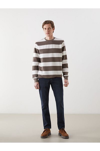 LC Waikiki Crew Neck Long Sleeve Striped Men's Sweatshirt