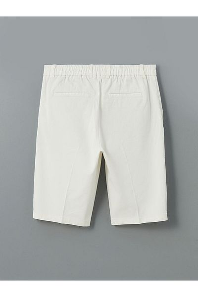 LC Waikiki Southblue Standard Fit Men's Shorts