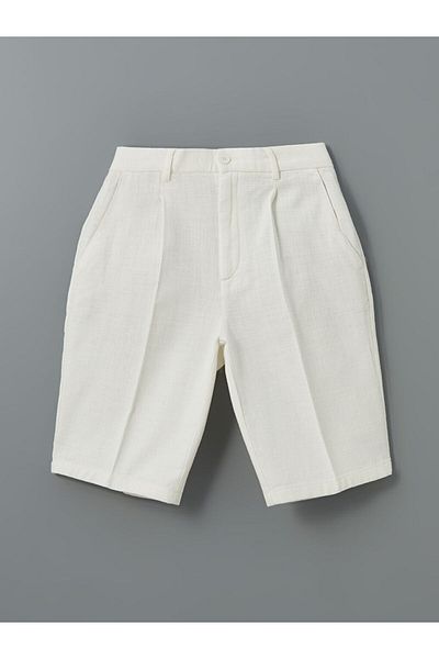 LC Waikiki LCW Vision Standard Fit Men's Shorts