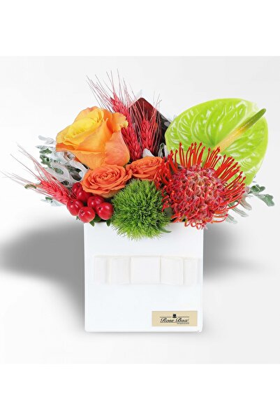 Rosebox Beyaz Kutuda Lecuspermu Turuncu Gül Ve Antoryum Aranjmanı