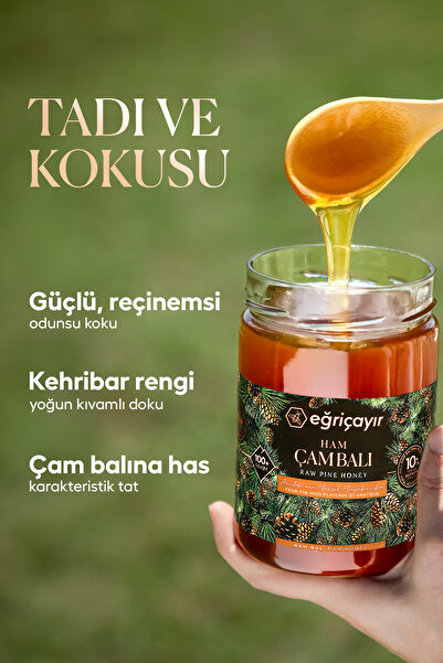 Eğriçayır Ham Çam Balı Ta10 850g (DOĞAL, HAKİKİ)