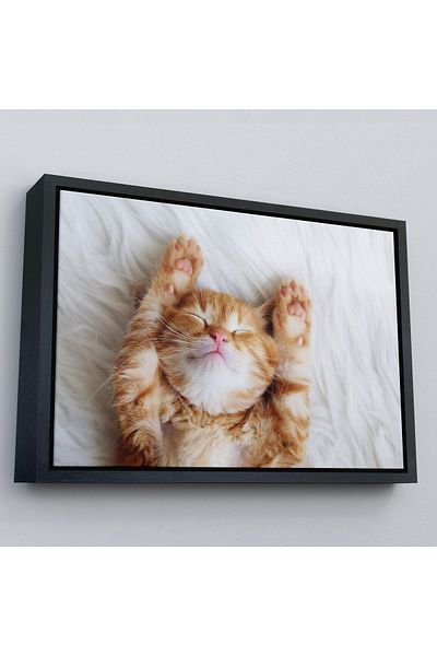 Harita Sepeti Pictură decorativă pe pânză cu pisoi în cadru auriu