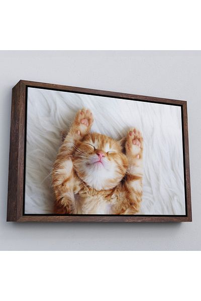 Harita Sepeti Pictură decorativă pe pânză cu pisoi cu cadru alb