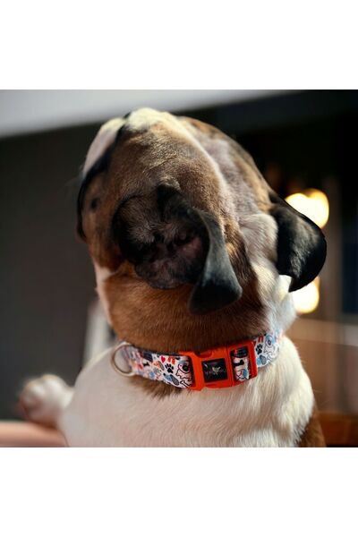 PAWLOOK Whıte Bone, Beyaz, Köpek Boyun Tasması, Boyun Tasması