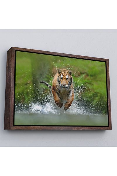 Harita Sepeti Διακοσμητικός πίνακας σε καμβά Running Tiger με λευκό πλαίσιο