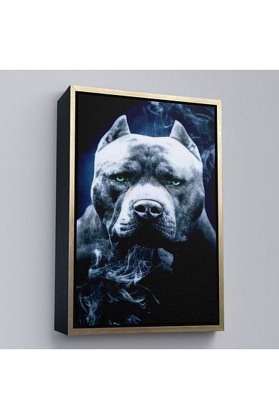 Harita Sepeti Πίνακας σε καμβά με χρυσό πλαίσιο Pit Bull με πράσινα μάτια American Bully Dog