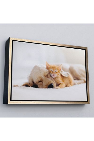 Harita Sepeti Pictură decorativă pe pânză pentru pisoi dormitor cu câine auriu într-un cadru auriu