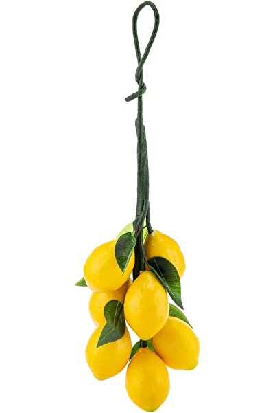 AKDC فاكهة صناعية