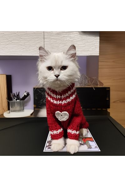 Lady Fify Valentine's Day Red Cardigan for Cat Dog