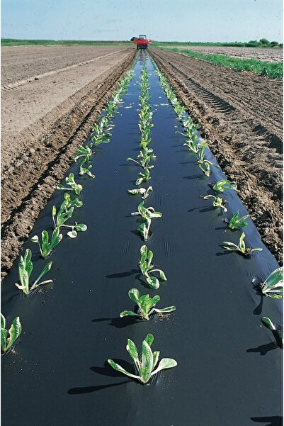 AKÇADIRCI Siyah Deliksiz Malç ve Çilek Naylonu EN 110 CM x 5 Metre 30 Mikron ...