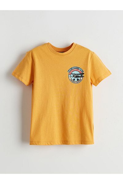 LC Waikiki Crew Neck Printed Boy's T-Shirt