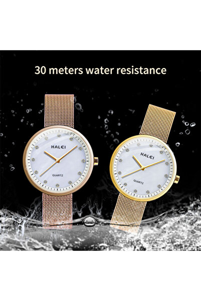 ETG HALEI Harley 556 Light Luxury Ladies Quartz Watch