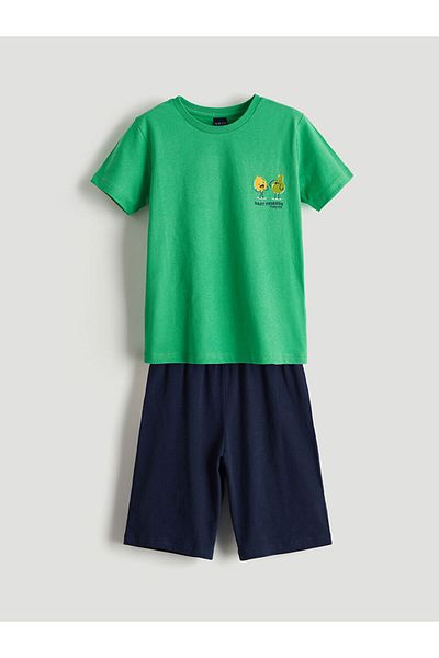 LC Waikiki New Season Crew Neck Boys' Shorts Pajama Set - S5L929Z4