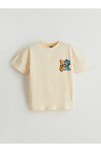LC Waikiki Crew Neck Boy's T-Shirt