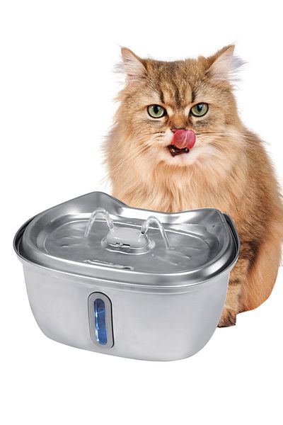KidLe Stainless Steel Pet Water Dispenser Automatic Cat Water Fountain