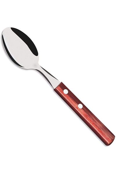 TRAMONTINA Since 1911, Made In Brazil - Stainless Steel Table Spoon With Red Treated Polywood Handle