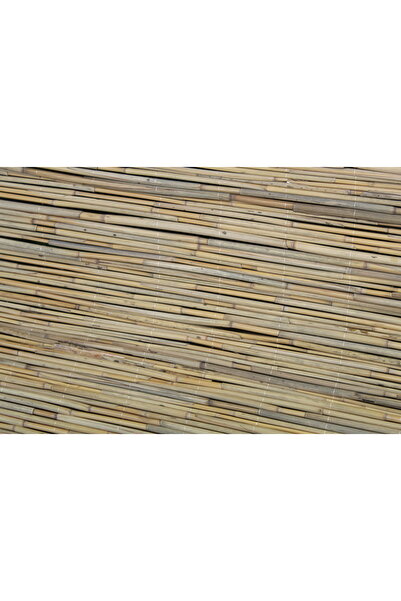 Home Çitler Kamış