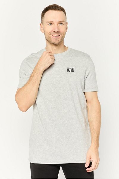 Cerruti 1881 Men Crew Neck Short Sleeve Brand Logo T Shirt, Grey