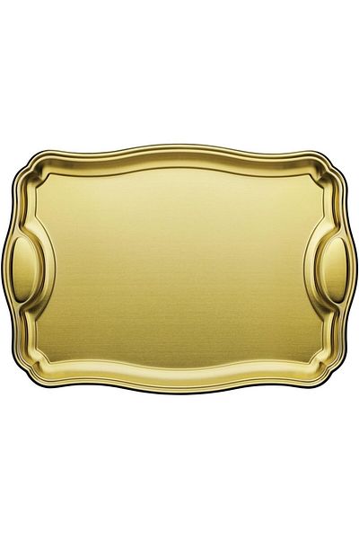 TRAMONTINA Since 1911, Made In Brazil - Rectangular Tray