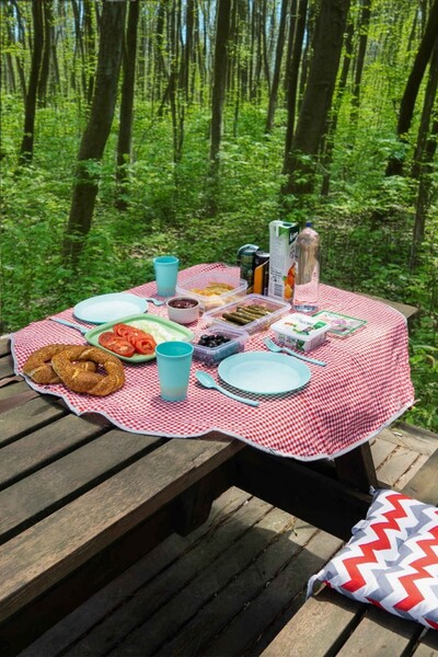 GenelTedarik حقيبة سلة نزهة كبيرة الحجم متعددة الأغراض بسحاب للشاطئ والتخييم ...