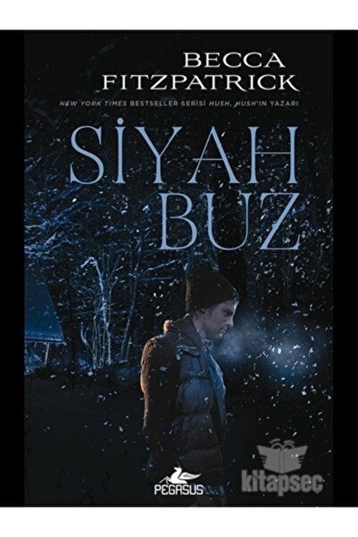 Pegasus Yayınları Siyah Buz (Ciltli)