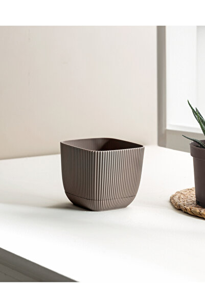 Madame Coco Abella Saksı 270 ml