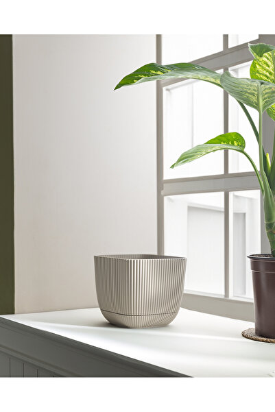 Madame Coco Abella Saksı 4000 ml