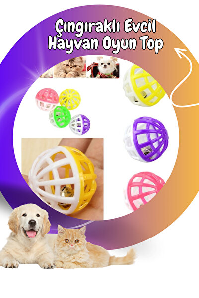 ALÇİN كرة لعب راتل للحيوانات الأليفة خاصة للقطط والكلاب