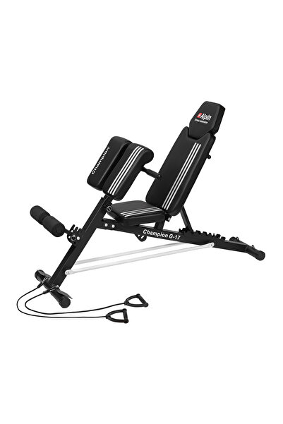 alpin fit Mekik Sehpası Alpin Champion G-17