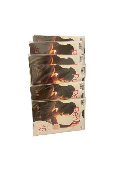 Penti Women's Pantyhose 6 Pieces Half Dozen Plum Color L Size 3 Size 1 Box
