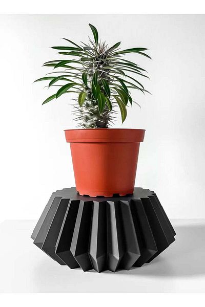 3D Brothers The Ranio Luxe Display Stand  Contemporary Design for Featuring Distinctive Objects and Decor