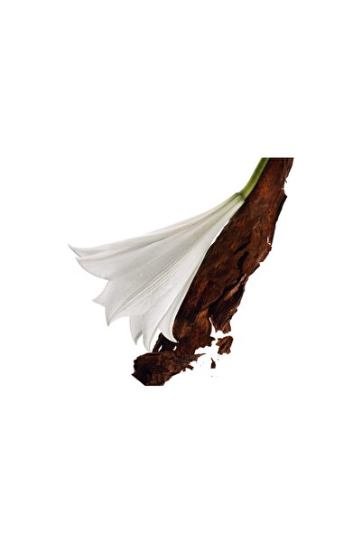 Yves Saint Laurent Mon Paris EDP 90ml for women3614270561634