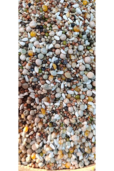 ERTUĞRUL 10 kğ Damızlık Güvercin Yemi Tozsuz 1. sınıf ( BEZELYELİ ) BUĞDAYSIZ...