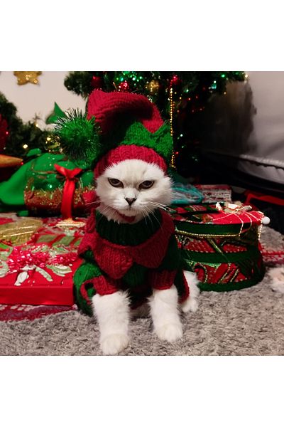 Lady Fify Wool New Year Elf Costume for Cat Dog