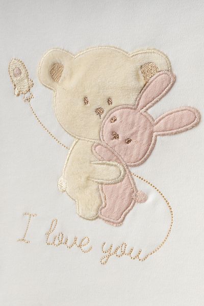 Bebitof 10 Piece Boxed Newborn Hospital Discharge Bodysuit Set with Hugging Teddy Bear Pattern