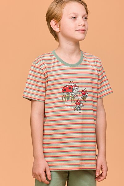 Woody 10-16 Years Old Boy Pajamas-Pss - 904-Ladybug Themed Striped