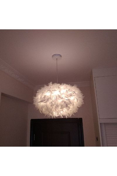 COOYA Ceiling Lights，Feather shape，Easy to match，Suitable for living room, bedroom, study