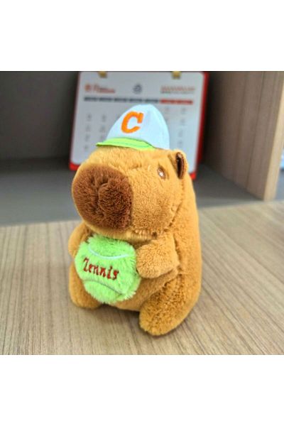 Choice 7 Cute Capybara Plush Toy Hoodie With Wings Simulation Doll Small Size Stuffed Animals Anime Flufft.