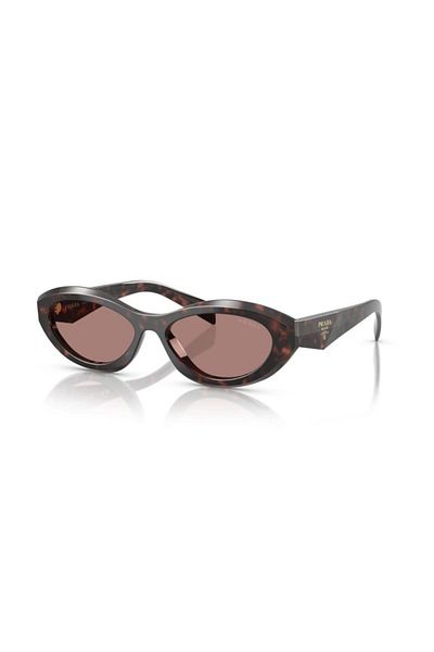 Prada Women Irregular Knight Sunglasses- Pr 26zs - Lense Size:55mm - Root Tortoise